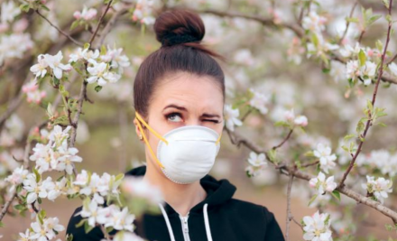 Covid-19:le allergie ai pollini non sono un fattore di rischio, alcune forme di asma invece possono aggravare la malattia