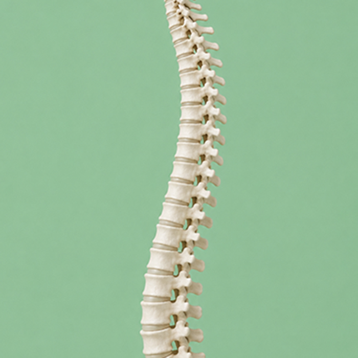 Osteopata